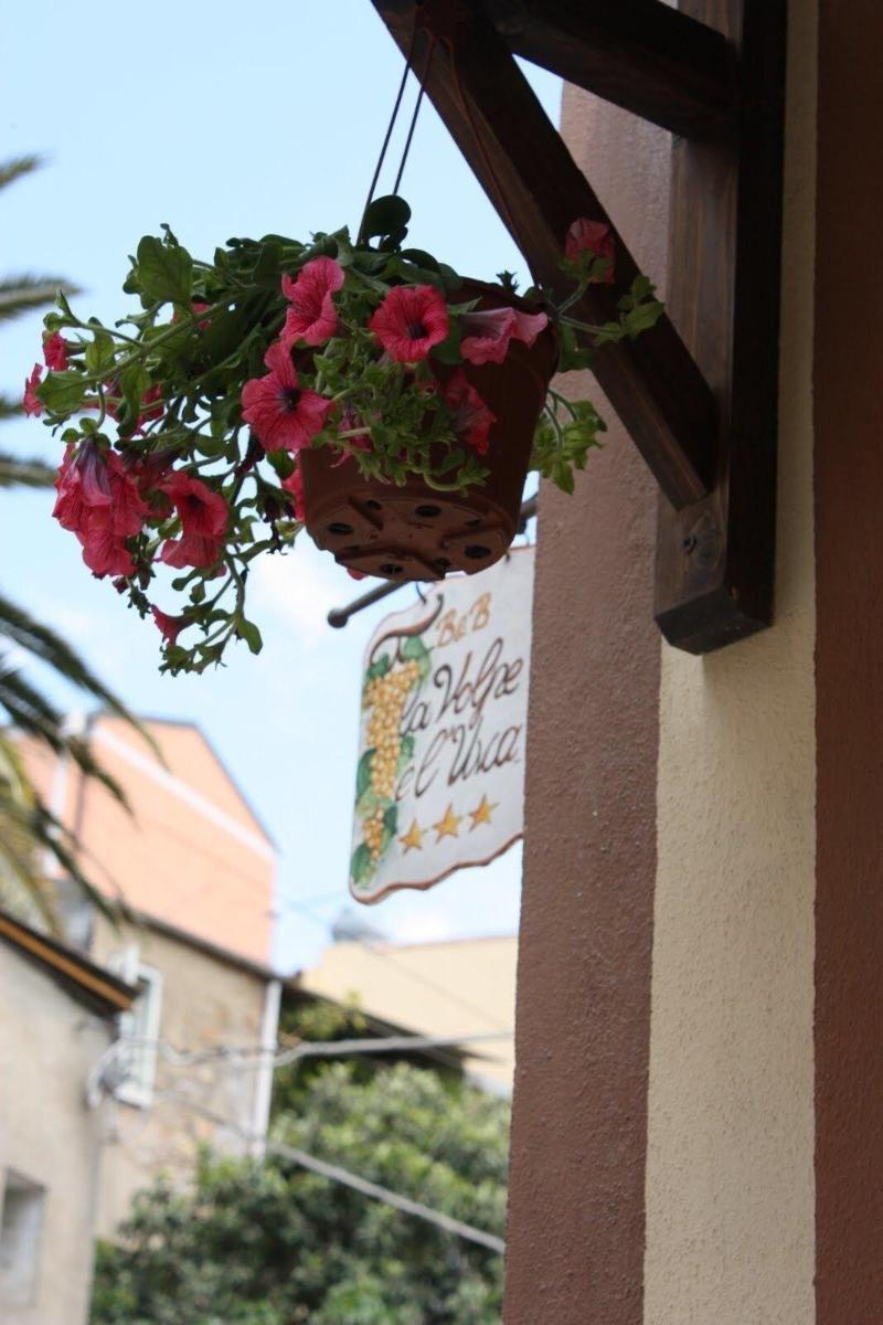 La Volpe E L'Uva B&B 피아차암머리나 외부 사진