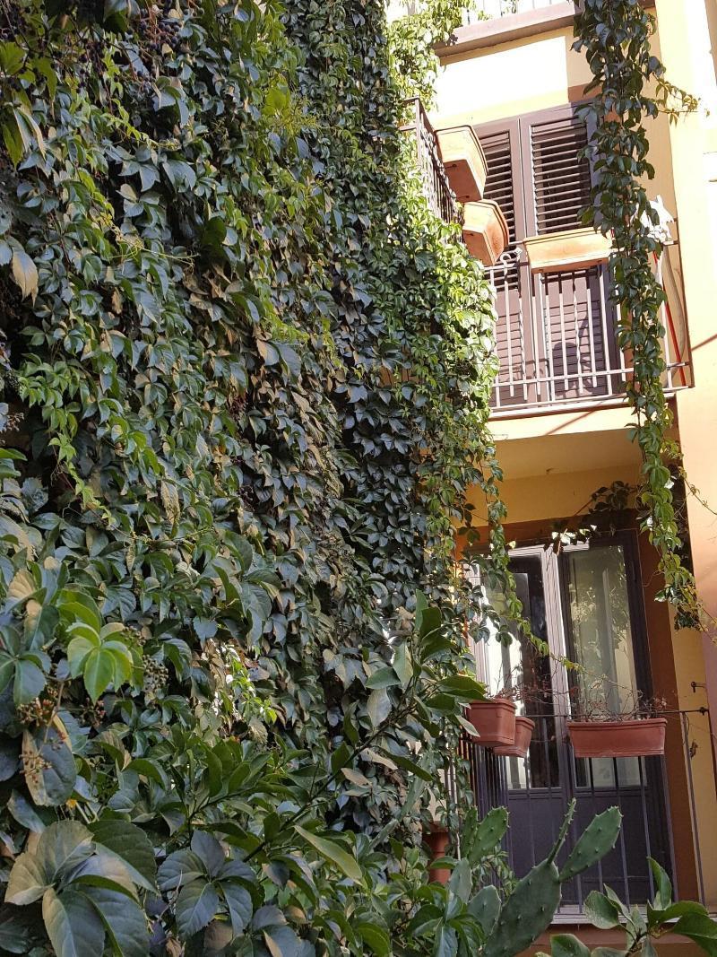 La Volpe E L'Uva B&B 피아차암머리나 외부 사진